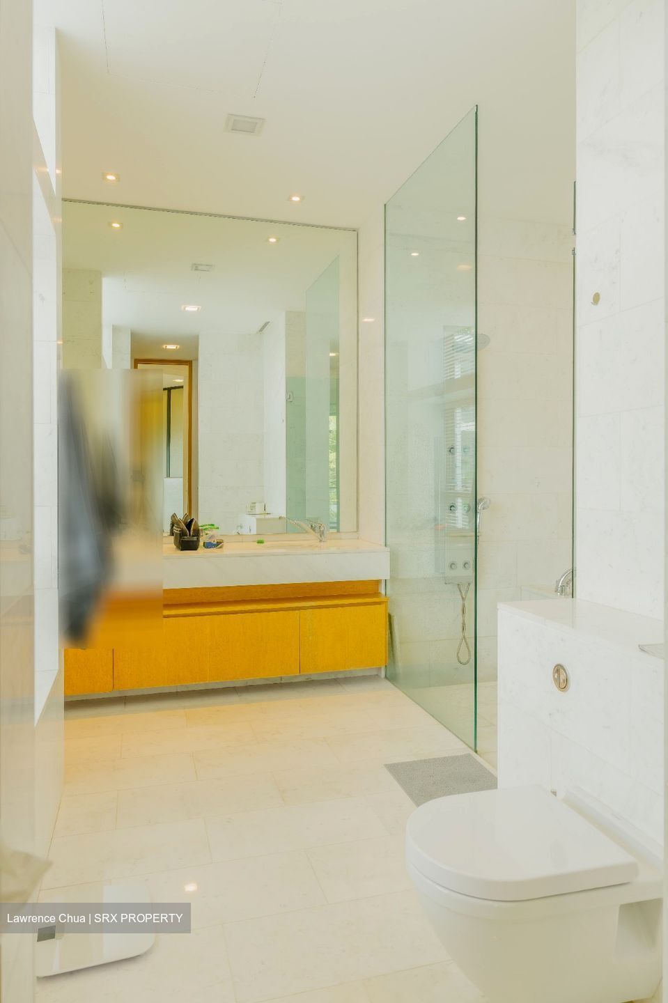 Belle Vue Residences (D9), Condominium #600723001